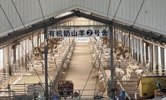  是以“诚信尚俭共